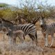 Op ontdekkingsreis: ontdek Zuid-Afrika en eSwatini in 2,5e week