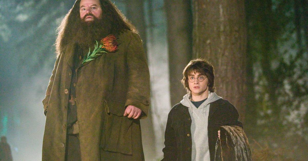 Film Harry Potter pertama yang kembali ke bioskop, pertama di 4DX |  menunjukkan