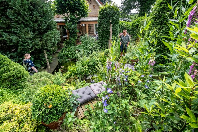 Wijzerplaat insluiten verontreiniging Willem is al twintig jaar bezig met watertuin op bungalowpark: 'De tuin  verrast je telkens' | Maas en Waal | gelderlander.nl