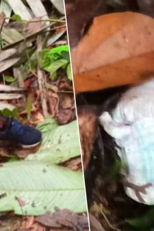La Colombie ne perd pas espoir: de nouveaux indices dans la recherche des quatre enfants disparus dans la jungle