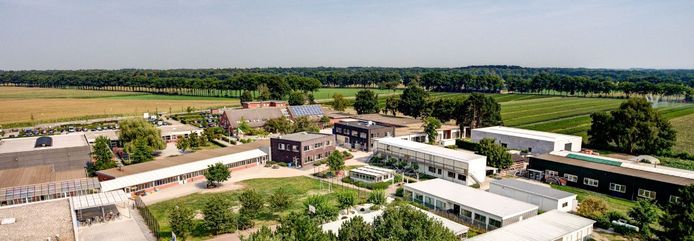 Berkenbeek.