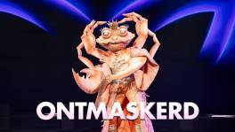 De winnaar van The Masked Singer doet nog een laatste performance