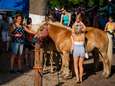 Extra hulpverleners en schaduw houden pony’s op de Paardenmarkt rustig