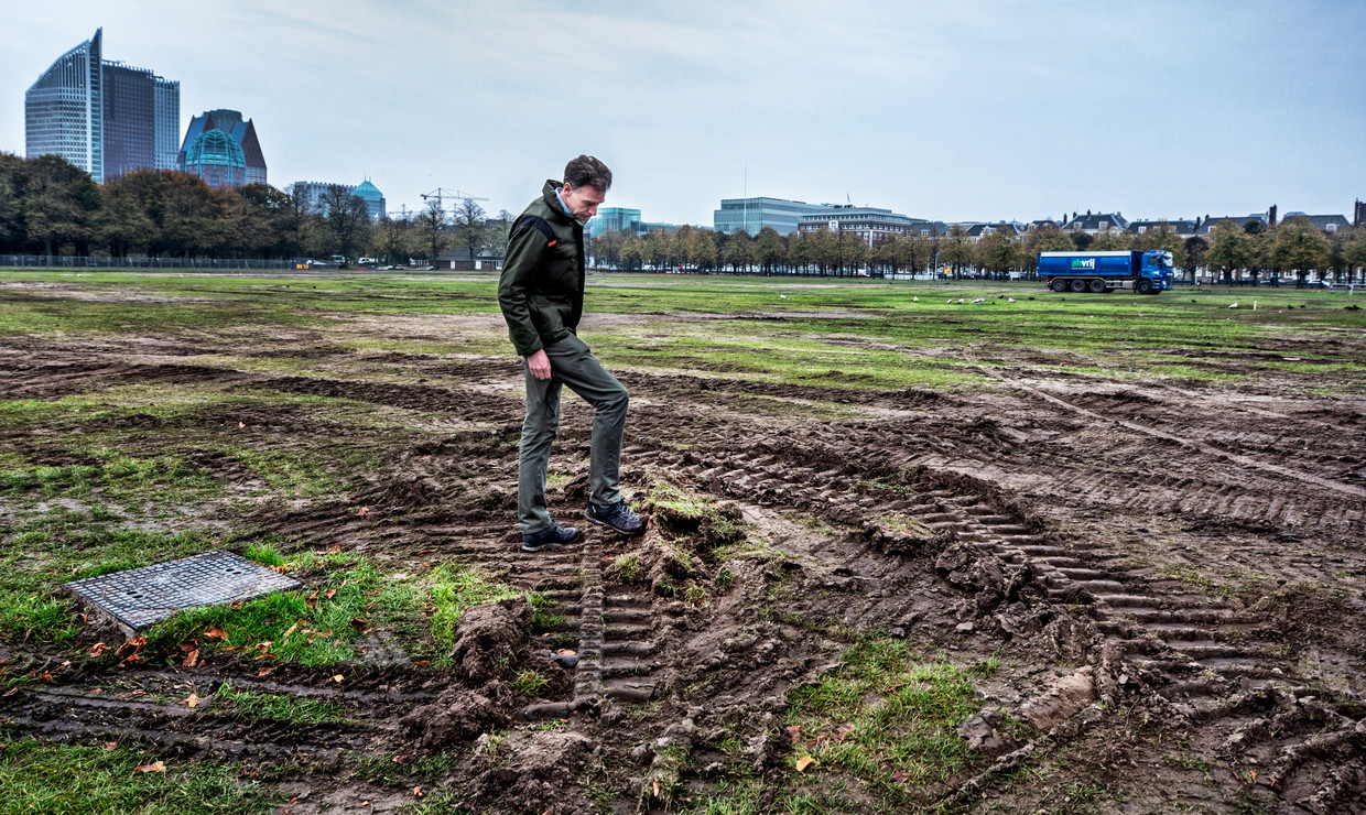 Marcel van Dun van Staatsbosbeheer bekijkt de schade op het Malieveld na de demonstraties van boeren en bouwvakkers. Beeld Raymond Rutting / de Volkskrant
