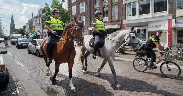 Gouda krijgt hulp landelijke politiepaarden in strijd tegen autobranden - AD.nl