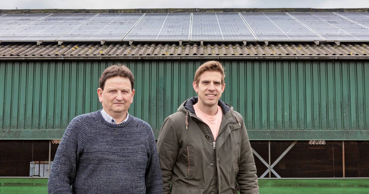 Gemeenten en boeren gaan samenwerken om energie te besparen: ‘We moeten wel’