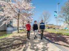 Studiebeurs keert terug, maar is wel verlaagd: wat betekent dat voor Delftse studenten?