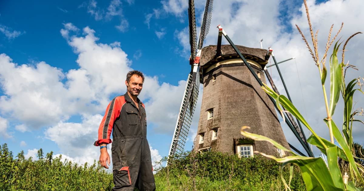 Molen waar komiek André van Duin woonde in Rijnsaterwoude te koop voor 2 miljoen euro