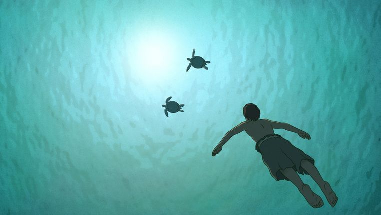 The Red Turtle. Beeld kos