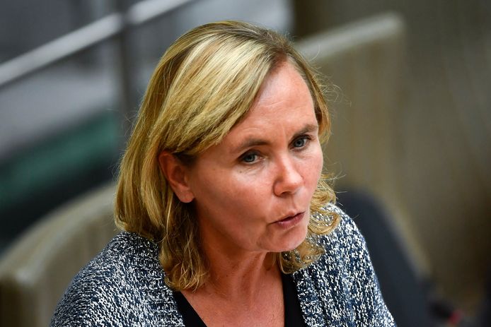 Vlaams minister van Armoedebestrijding Liesbeth Homans (N-VA).
