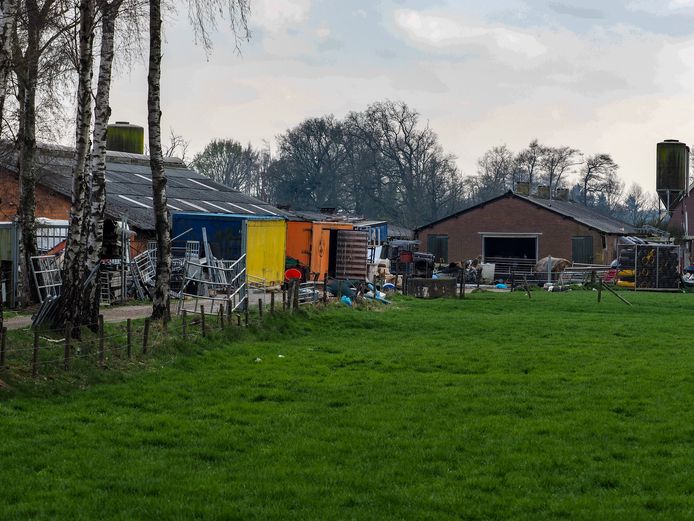 Tientallen Dode Dieren Gevonden Op Boerenerf In Leuvenheim Het Is Er Al Jaren Een Bende Brummen Destentor Nl