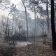 Vuur legt eeuwenoude bossen in as: ‘Klimaatverandering is niet langer iets hypothetisch’
