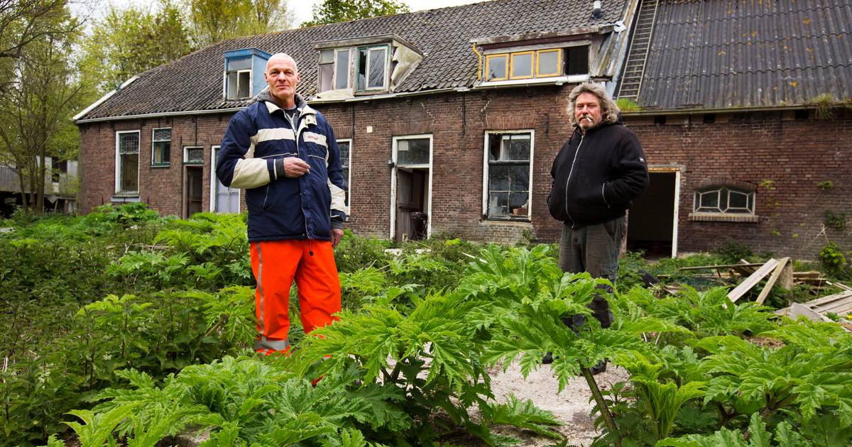 Enorme kater na tien jaar verbeten strijd om verontreinigde perceel
