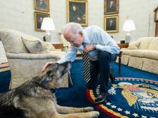 President Biden treurt om overlijden herdershond Champ (13): ‘Zullen hem eeuwig missen’