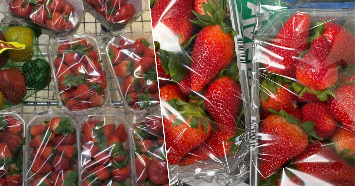 PROMO HUNTERS SUPER TIP.  Here you can buy a 500g box of strawberries for only €0.99 |  promotion hunters