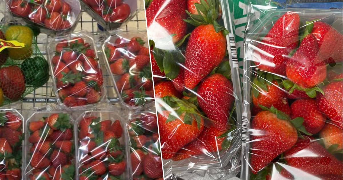 PROMO HUNTERS SUPER ASTUCE.  Ici, vous pouvez acheter une boîte de 500 grammes de fraises pour seulement 0,99 euros |  Chasseurs de promotions