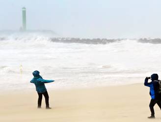 Hoe opmerkelijk waren de hevige stormen van deze winter? Het KMI geeft antwoord