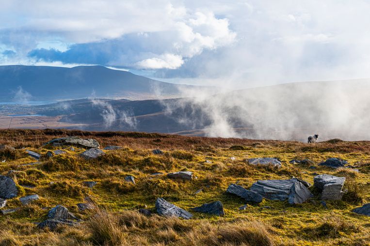 Vanop Minaun Heights kijk je uit over Achill Island.  Beeld Jessica de Korte