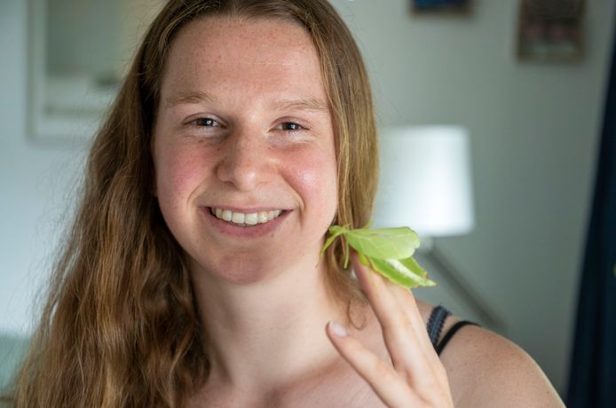 De 25-jarige studente Biologie Jaimie van der Vleut heeft wel hele bijzondere huisdieren. Op haar Wageningse zolderkamer heeft ze tientallen wandelende bladeren rondlopen.