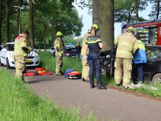 Auto knalt hard tegen boom in Velp, traumahelikopter landt voor eerste hulp