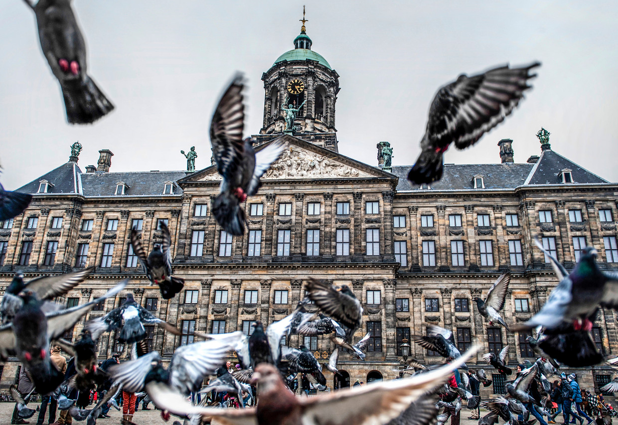 ‘Het Paleis op de Dam zwijgt heimelijk over het slavernijverleden’