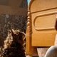 Pet Sematary
