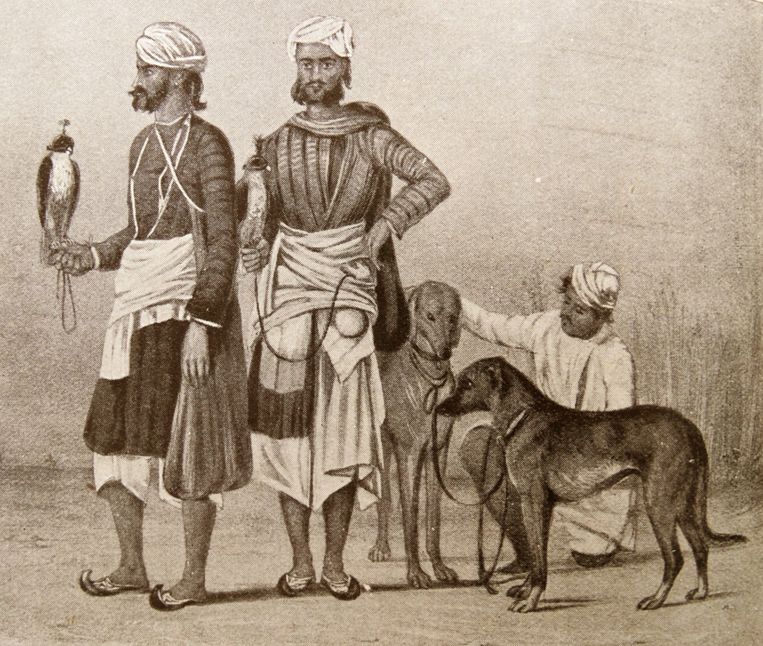 Bedienden met honden en haviken van de koning in de 18de eeuw.  Beeld Universal Images Group via Getty