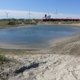 Natuur pakt kansen op braakliggende grond