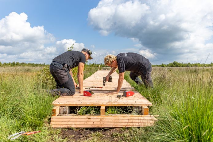 Sander Berkhof (links) en Douwe Oosterveen zijn woensdagmorgen begonnen met het herstellen van het Vlonderpad. Een klus waarvoor een maand en ongeveer 20.000 schroeven nodig zijn.