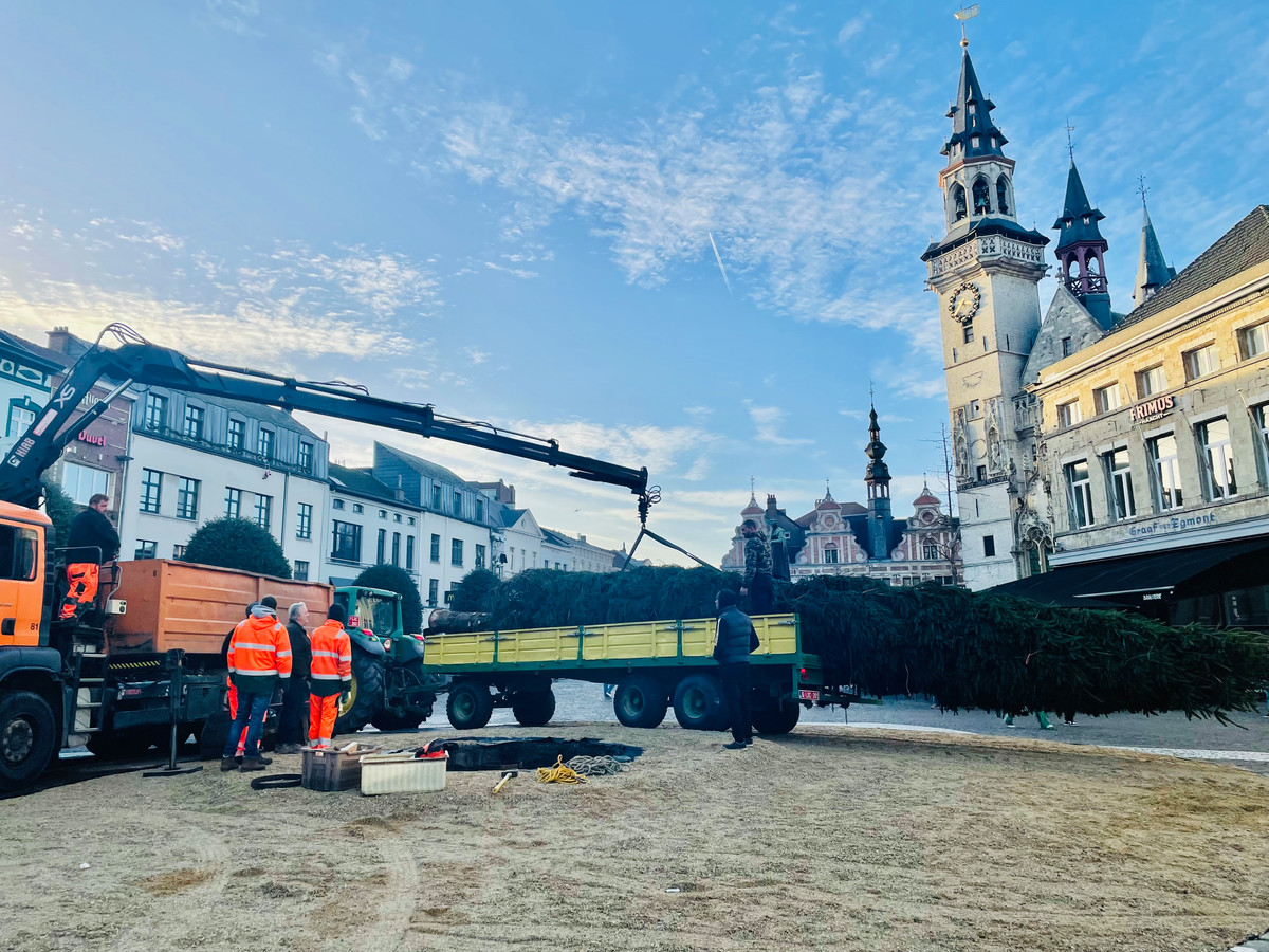 Kerstboom van 15 meter hoog op de Grote Markt “Een uniek exemplaar