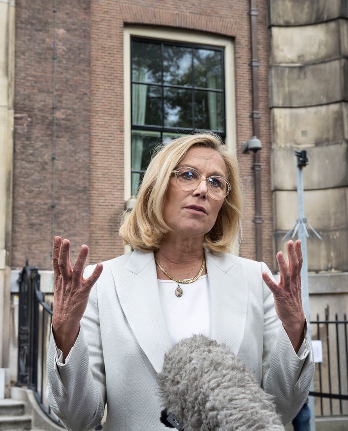 Sigrid Kaag.