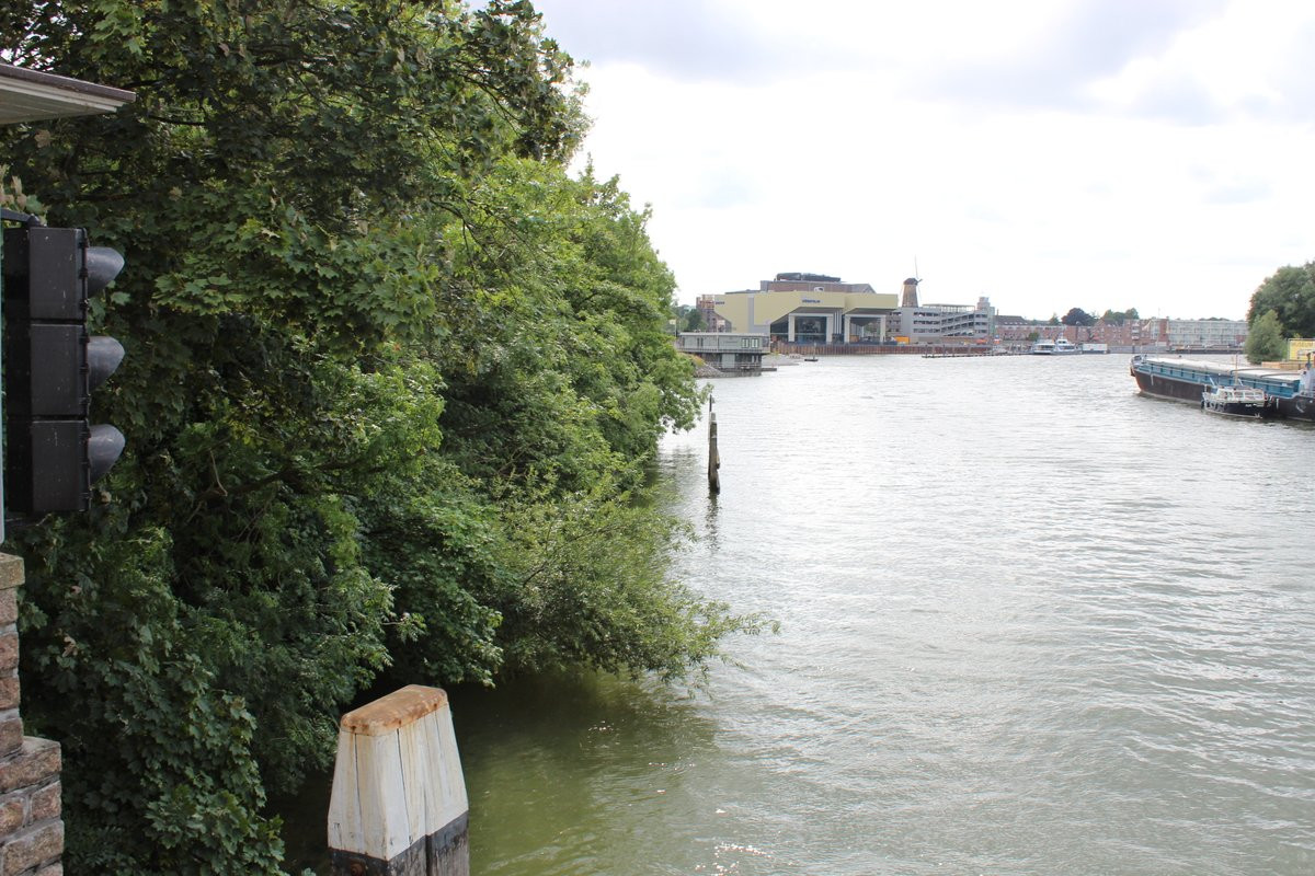 Stichting Het Wantij boekt pyrrusoverwinning in zaak rond kappen van ...