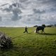 De toekomst van het Nederlandse boerenbedrijf ligt in de jaren vijftig