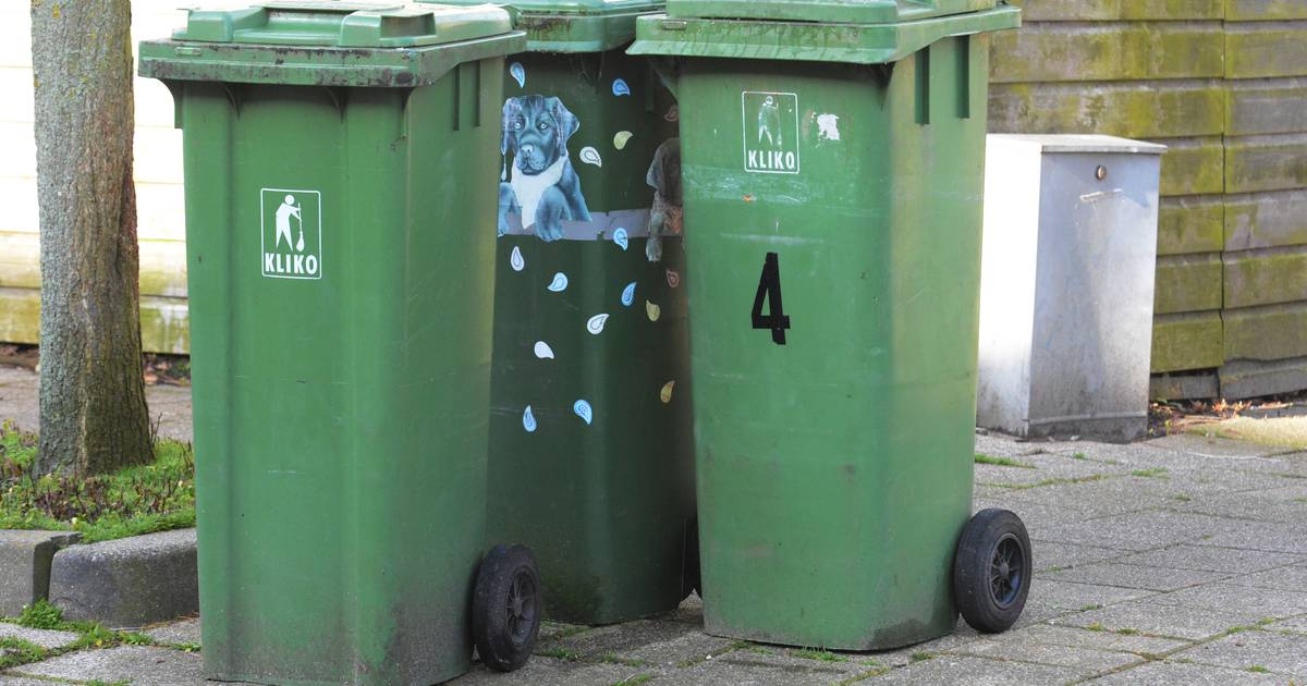 schoonmaken Indirect Feest Groene afvalbak vaker geleegd bij wijze van proef | Tholen | pzc.nl
