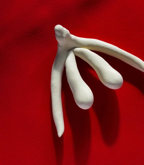 Le clitoris est bien plus sensible qu’on ne l’imaginait