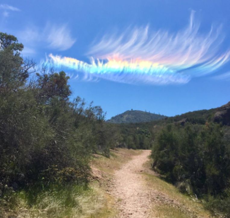 De regenboog werd gespot in Californië