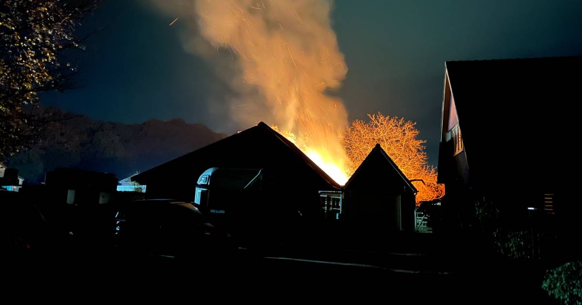 Brand breekt uit in tuinhuisje in Vorden: bouwwerk volledig in de as gelegd - De Gelderlander