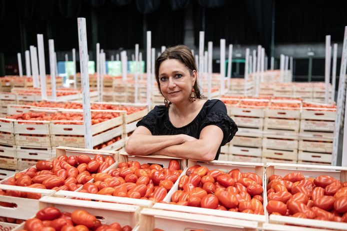 Manuela Rotilio bij haar San Marzano-tomaten.