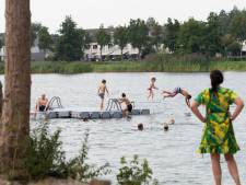 Na De Rietschoof bij Aalst ook weer blauwalg in de Tijningenplas Zaltbommel
