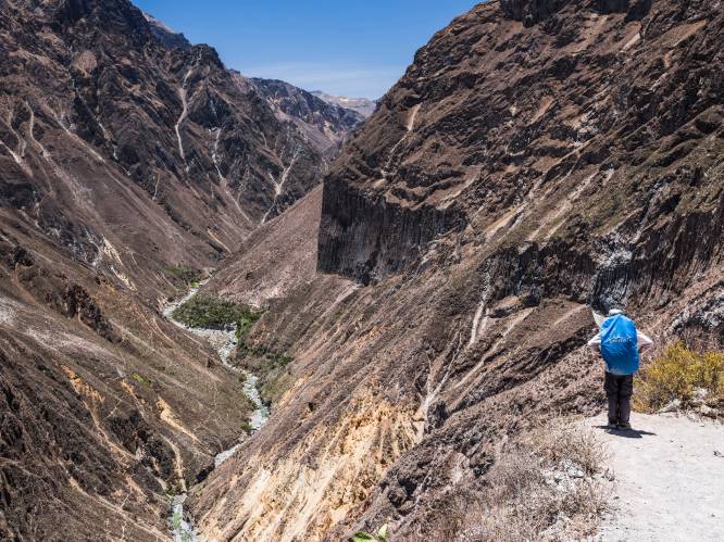 Wat is de Colca Canyon, waar de Belgische Natacha (28) verdween? En hoe gevaarlijk is het er?