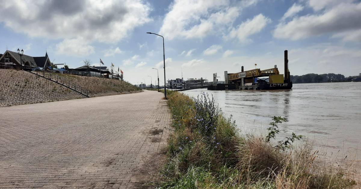 Opluchting in Tolkamer: Rijn stijgt tot ‘winterhoogte’