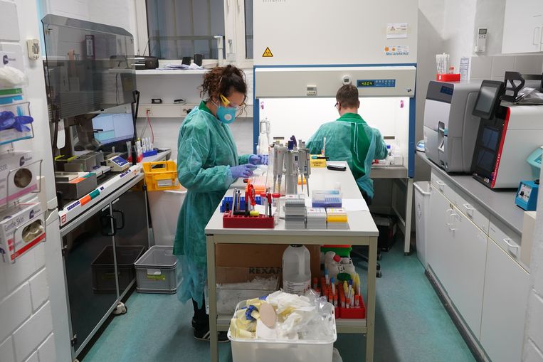 Medici testen stalen in een labo in Berlijn. Ook de vaccinontwikkeling is bezig geheel nieuw terrein te betreden. Beeld Getty Images