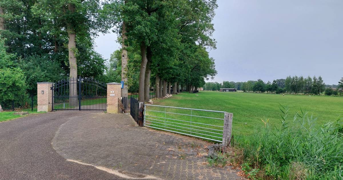 25 camperplaatsen en 3 boerderijkamers in natuur tussen Weerselo en Oldenzaal: ‘We willen zo snel mo
