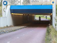 Tbs van man die in 2004 een meisje verkrachtte in de Hortensiatunnel in Zwolle, komt ten einde