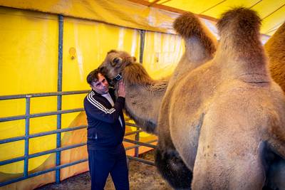 Clown David ziet dat het circus geen volle tent meer trekt in Twente, maar klaagt niet: ‘Dit is ons 