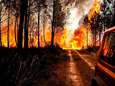 Zuid-Europa krijgt bosbranden niet onder controle: piloot blusvliegtuig in Portugal gestorven, al 10.000 hectare bos vernield in Frankrijk