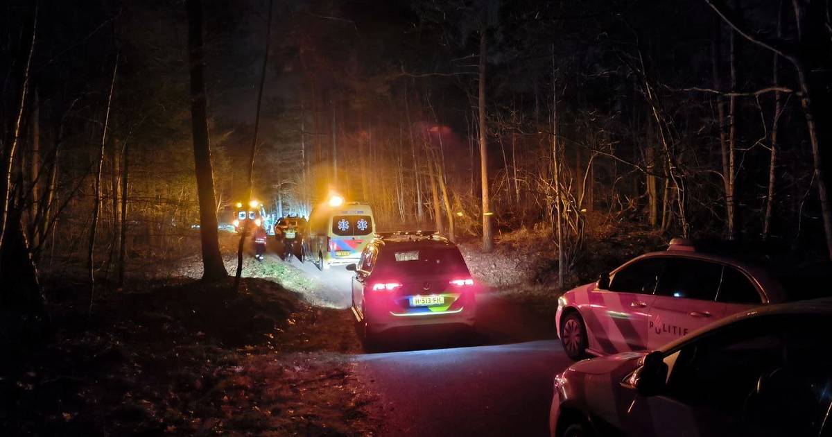 Automobilist gewond door botsing met boom op donker bospad Nunspeet: traumahelikopter landt op carpoolplaats.