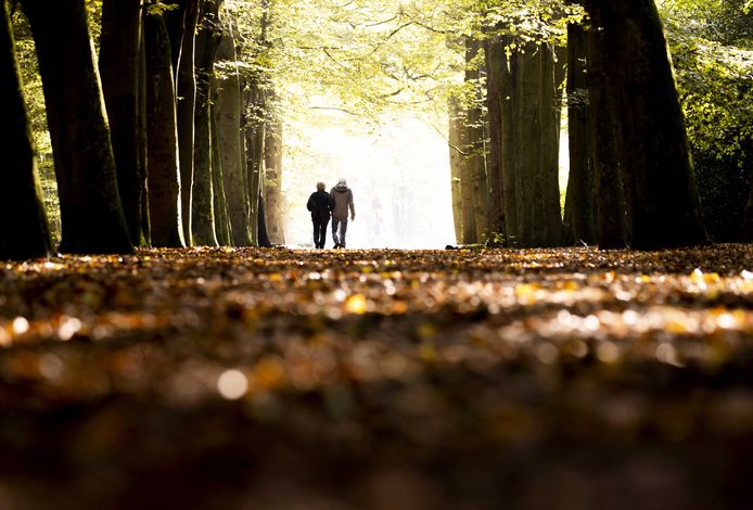 Herfst: in oktober was het warm, maar ook nat.