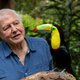David Attenborough: ‘De natuur zou beter af zijn als de mens hier helemaal niet was’