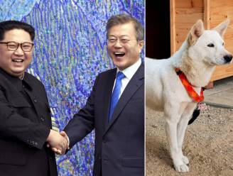 Zuid-Koreaanse ex-president wil honden wegdoen die hij cadeau kreeg van Noord-Koreaanse Kim Jong-un